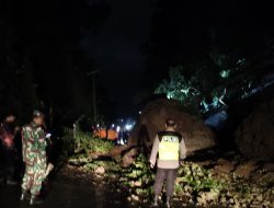 Longsor dan Pohon Tumbang di Kelurahan Wuryorejo Usai Diguyur Hujan Intensitas Tinggi