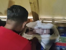 Penemuan Bayi Perempuan Meninggal di Karang Penang Gegerkan Warga, Ditemukan Dalam Kardus dengan Pesan Haru