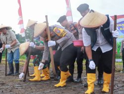 Penanaman Jagung Serentak Kuartal I 2026 di Jombang Dukung Program Swasembada Jagung Nasional