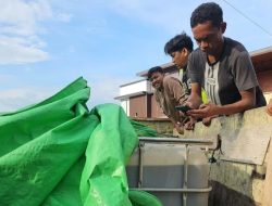 Polres Situbondo Berhasil Gagalkan Penyelundupan 1 Ton Solar Bersubsidi di Jalur Pantura, 3 Pelaku Berhasil Diamankan