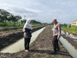 Dukung Ketahanan Pangan, Polsek Krian Polresta Sidoarjo Pantau Lahan Jagung Ponpes Al Amanah Junwangi