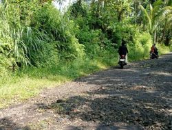Jalan Kabupaten dari Desa Songgon Menuju Dusun Pelantaran sepanjang 1,7 Km Hancur Total