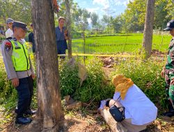 Geger!, Warga Desa Pengkol Temukan Jasat Bayi di Perkebunan