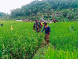 Babinsa Kodim Ponorogo Sebagai Motivator dan Perekat Kemanunggalan