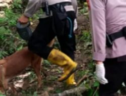 Misteri Penemuan Sepeda Motor di Hutan Terungkap Dengan di Temukan Kerangka Manusia di Sekitarnya