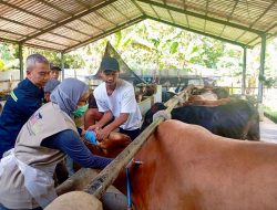 Healing, Layanan Kesehatan Hewan Gratis Pemprov Jateng Sasar Peternak Desa