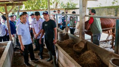 Jelang Iduladha, Jateng Gencarkan Layanan Kesehatan Hewan Keliling Cegah Penyakit Ternak
