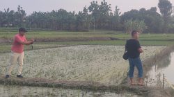 Tewasnya Balita Berusia 4 Tahun di Bekas Galian C Saradan Madiun, Polisi Dinilai Lamban Tangani Perkara