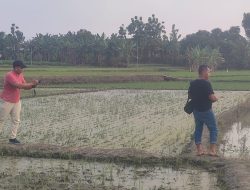 Tewasnya Balita Berusia 4 Tahun di Bekas Galian C Saradan Madiun, Polisi Dinilai Lamban Tangani Perkara