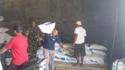 Monitoring Stok Pupuk, Peran Aktif Babinsa Kodim Ponorogo Sejahterakan Petani