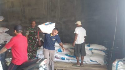 Monitoring Stok Pupuk, Peran Aktif Babinsa Kodim Ponorogo Sejahterakan Petani