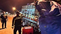 Diduga Pengemudi Mengantuk, Truk Bermuatan Daun Jeruk Alami Kecelakaan Tunggal di Wonogiri, Satu Orang Meninggal Dunia