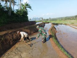 Bantu Olah Lahan Upaya Babinsa Kodim Ponorogo Sejahterakan Petani