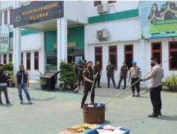 Kejari Belawan Gasak 216 Perkara, Sabu Ratusan Gram Hingga Sajam Dimusnahkan Tanpa Sisa