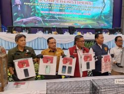 Sindikat Penyelundupan Komodo dari NTT ke Surabaya Dibongkar Polda Jatim, Raup Omzet Miliaran Rupiah