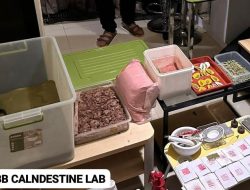 Praktik Clandestine Lab Narkotika Jenis Ekstasi dan Happy Water Diungkap, Dua Tersangka Diamankan