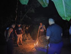 Polsek Ambulu Bongkar Diduga Arena Sabung Ayam, Tindak Lanjuti Pengaduan Masyarakat Desa Andongsari