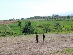 Dandim Ponorogo Tinjau Lokasi Rencana Pembangunan Brigif TP dan Yonif TP