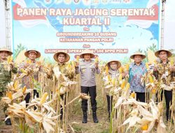 Dukung Swasembada Pangan Nasional, Kapolda Jateng Panen Jagung Bersama Petani di Boyolali