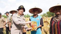 Ikuti Panen Raya Jagung via Jaringan Virtual, Polres Bojonegoro Perkuat Ketahanan Pangan