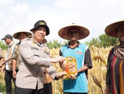 Ikuti Panen Raya Jagung via Jaringan Virtual, Polres Bojonegoro Perkuat Ketahanan Pangan