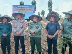 Perhutani Lawu Ds Dukung Panen Raya Jagung Serentak Bersama Polres Madiun Kota