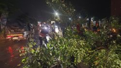 Polisi Bersama Warga Sigap Evakuasi Pohon Tumbang Timpa Kontainer di Simpang Empat RPH Krian