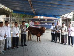 Hewan Kurban Sapi dari Kapolda Jatim Diserahkan Kapolres Jombang ke Dua Ponpes di Jombang