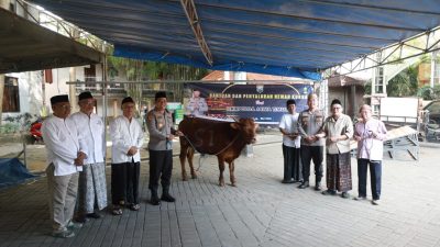 Hewan Kurban Sapi dari Kapolda Jatim Diserahkan Kapolres Jombang ke Dua Ponpes di Jombang