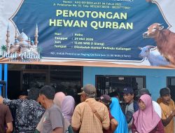 Komitmen Yayasan Peduli Kasih (TKBM) Kalianget Salurkan Hewan Qurban ldul Adha 1447 H.