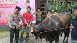 Polresta Sidoarjo Sembelih Hewan Qurban 25 Sapi dan 75 Kambing pada Idul Adha 1447 H, Wujud Kepedulian Sosial kepada Masyarakat