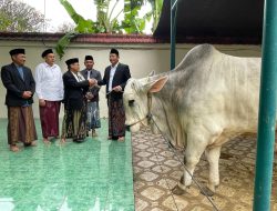Bupati Subandi Serahkan Hewan Kurban 800 Kilogram di Masjid Agung Sidoarjo, Bantuan Presiden Dialihkan ke Jabon