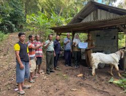 Perhutani KPH Lawu Ds Salurkan Bantuan Hewan Kurban bagi Warga Terdampak Longsor di Ponorogo
