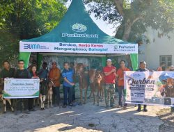 Tebar Keberkahan Idul Adha, Perhutani KPH Bondowoso Bersama Ta’mir Masjid Al-Istiqomah Salurkan Daging Qurban kepada Masyarakat