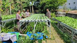 Polri Hadir untuk Ketahanan Pangan, Bhabinkamtibmas Mojotrisno Edukasi Warga Manfaatkan Pekarangan