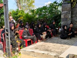 SH Terate Ranting Dander Gelar Pemeriksaan Ayam Jago Cawar 2026