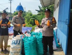 Polsek Tanggulangin Dampingi Gapoktan Desa Randegan Jemur Hasil Panen Jagung untuk Penuhi Standar Kualitas