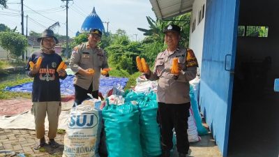 Polsek Tanggulangin Dampingi Gapoktan Desa Randegan Jemur Hasil Panen Jagung untuk Penuhi Standar Kualitas