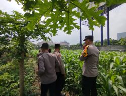 Tingkatkan Swasembada Pangan, Polsek Waru Ajak Petani Serius Kelola Tanaman Jagung