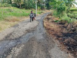 Jalan Dusun Sumberan Macan Putih Sepanjang 2 Km Rusak Parah