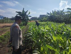 Polisi Dampingi Perawatan Lahan P2B, Perkuat Swasembada Pangan dan Tingkatkan Ekonomi Warga