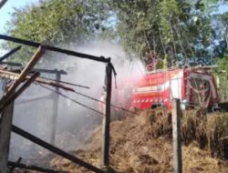 Bludukan Jadi Pemicu Kebakaran Kandang Milik Warga Jatisrono