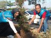 PLN UP3 Sidoarjo Tegaskan Komitmen Dukung Pelestarian Lingkungan Melalui Penanaman 644 Pohon Bersama Pemkab Sidoarjo