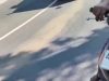 Tumpahan Minyak Solar di Tikungan Ongko Wolu Menelan Korban Pengguna Jalan