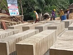 Mutu Paving Block Proyek P3-TGAI di Desa Karya Sakti Lampura Dipertanyakan