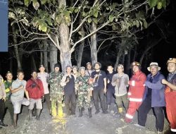 Karhutla Hanguskan Sekitar 6,5 Hektare Lahan di Gunung Watangan, Tim Pemadam Gabungan Sempat Kesulitan