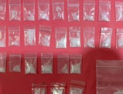 Satresnarkoba Polres Pelabuhan Tanjung Perak Ungkap Peredaran 15,4 Gram Sabu, Seorang Pengedar Ditangkap