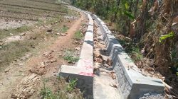 Program Percepatan Peningkatan Tata Guna Air Irigasi di Kecamatan Jatipurno Kebut Kejar Target