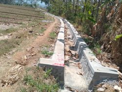 Program Percepatan Peningkatan Tata Guna Air Irigasi di Kecamatan Jatipurno Kebut Kejar Target