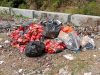 Sampah Limbah B3 Dibuang ke Pembuangan Umum, Beresiko Mencemari Lingkungan dan Kesehatan